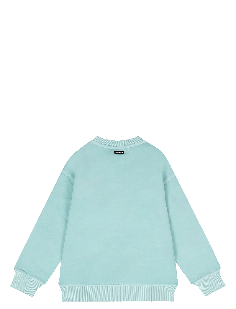 TUMBLE 'N DRY - Dive Sweatshirt - collegepaidat - angel blue - 2