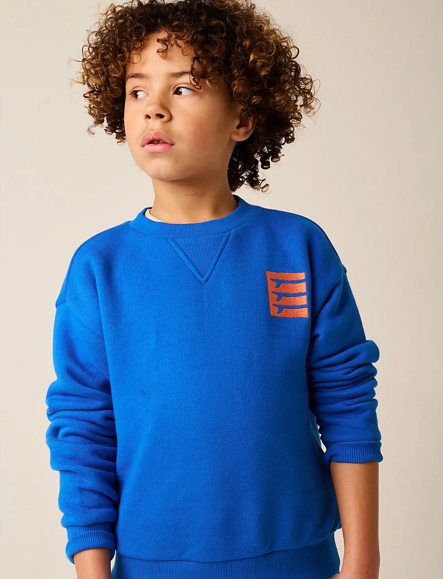TUMBLE 'N DRY - Stokes Bay Sweatshirt - sweatshirts - strong blu - 0