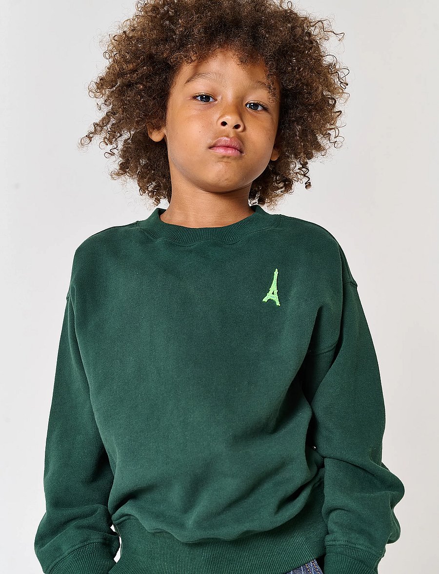 TUMBLE 'N DRY - TND Winchester - sweatshirts - pine grove - 3