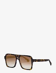 Twist & Tango - Ossario Sunglasses - firkantede solbriller - brown - 1