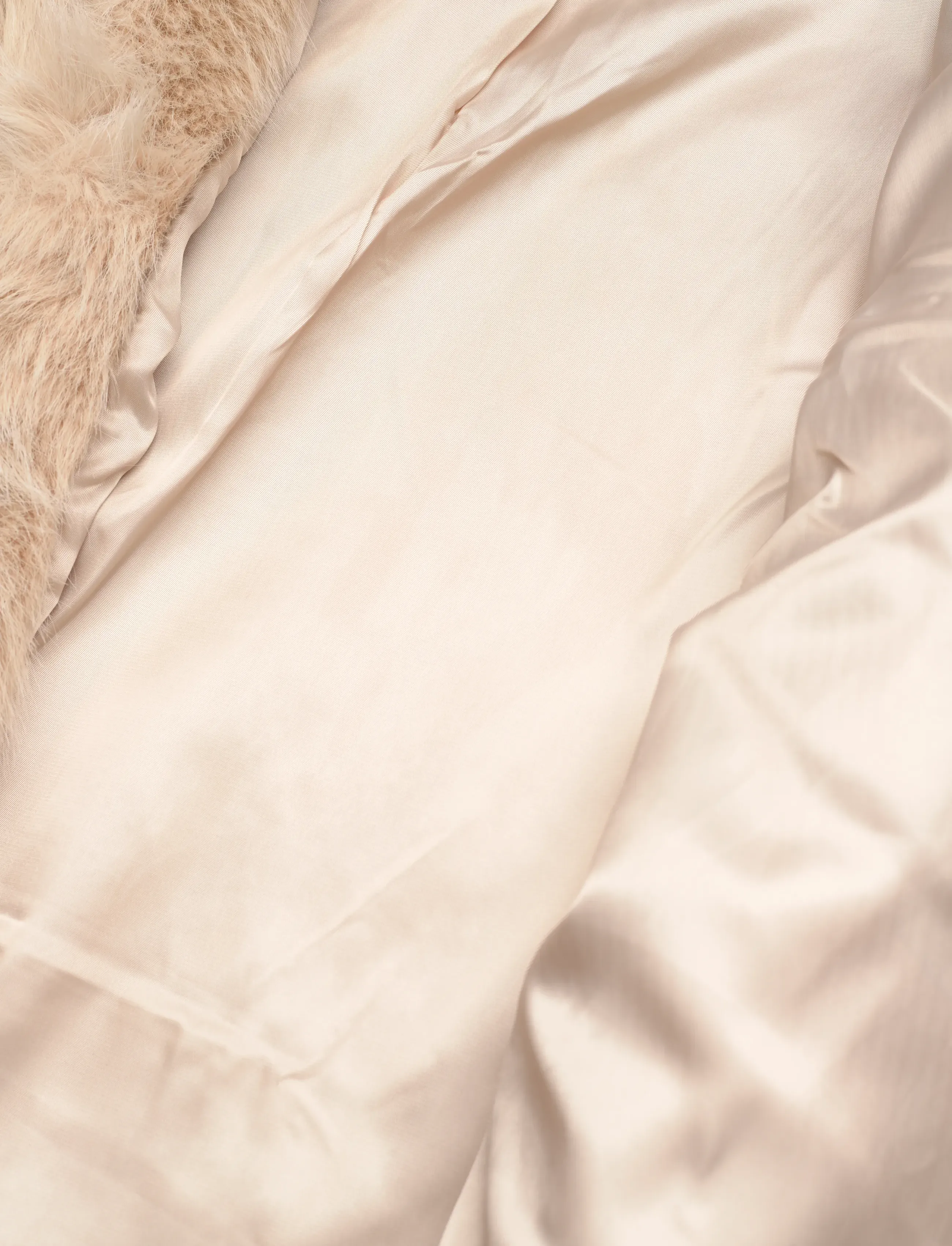 Twist & Tango - Joline Faux Fur jacket - kunstpelz - champagne - 4