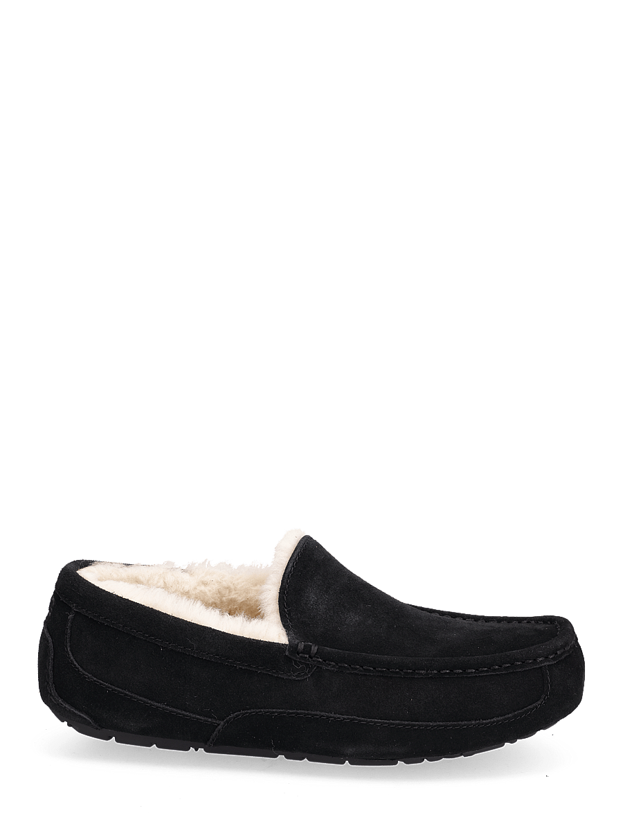 UGG - M Ascot - nach stil kaufen - black - 1