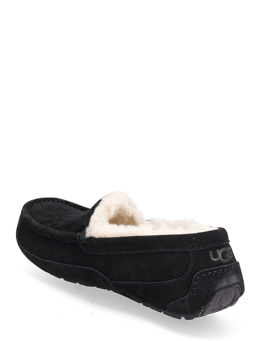 UGG - M Ascot - nach stil kaufen - black - 2