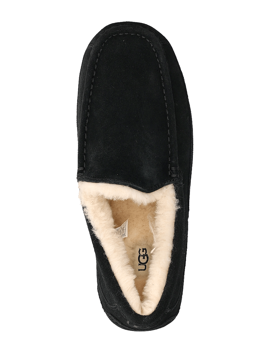 UGG - M Ascot - nach stil kaufen - black - 3