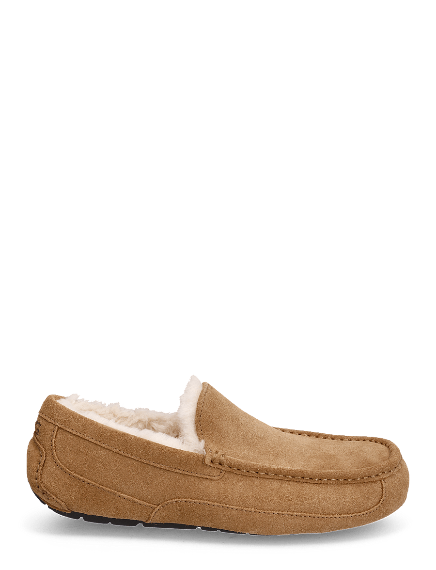 UGG - M Ascot - shop efter stil - chestnut - 1