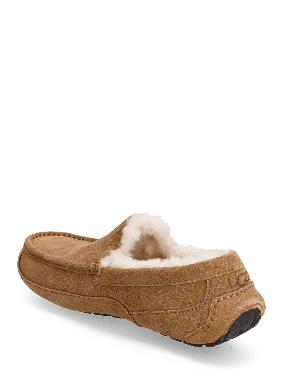 UGG - M Ascot - shop efter stil - chestnut - 2