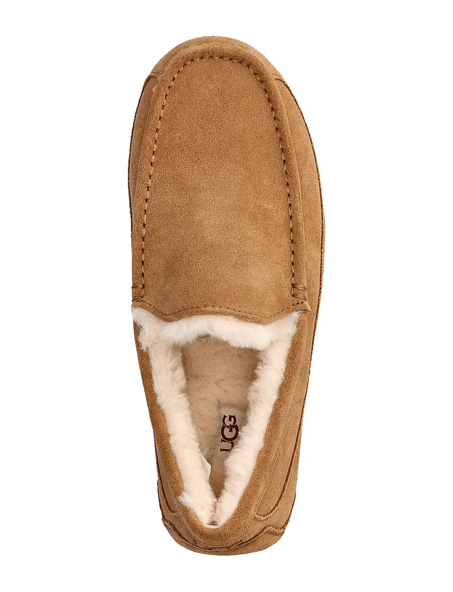 UGG - M Ascot - shop efter stil - chestnut - 3