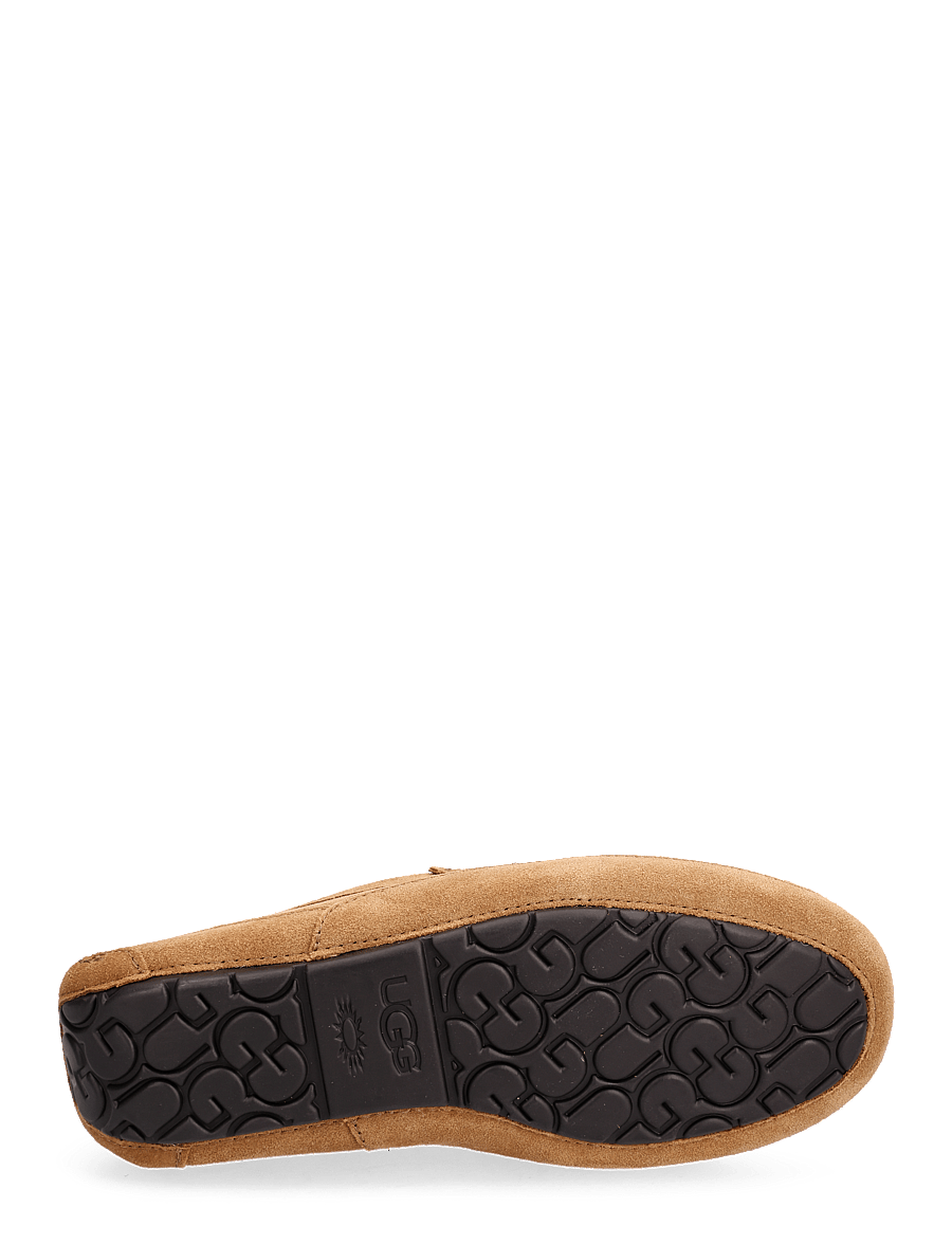 UGG - M Ascot - shop efter stil - chestnut - 4