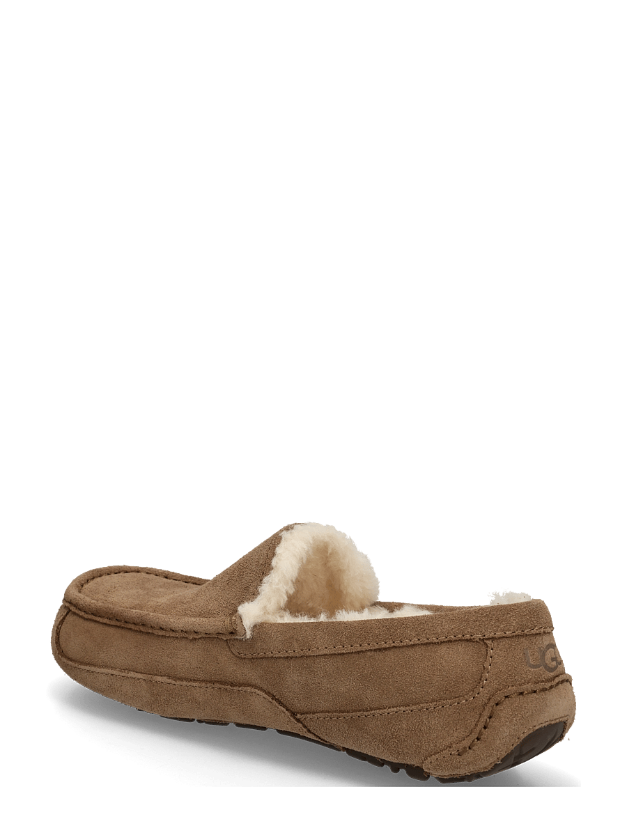 UGG - M Ascot - shop efter stil - light bronze - 1