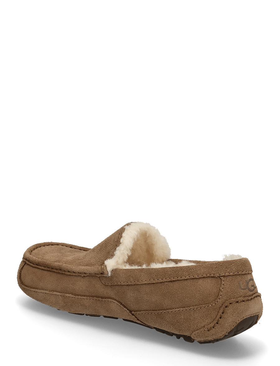 UGG - M Ascot - nach stil kaufen - light bronze - 1