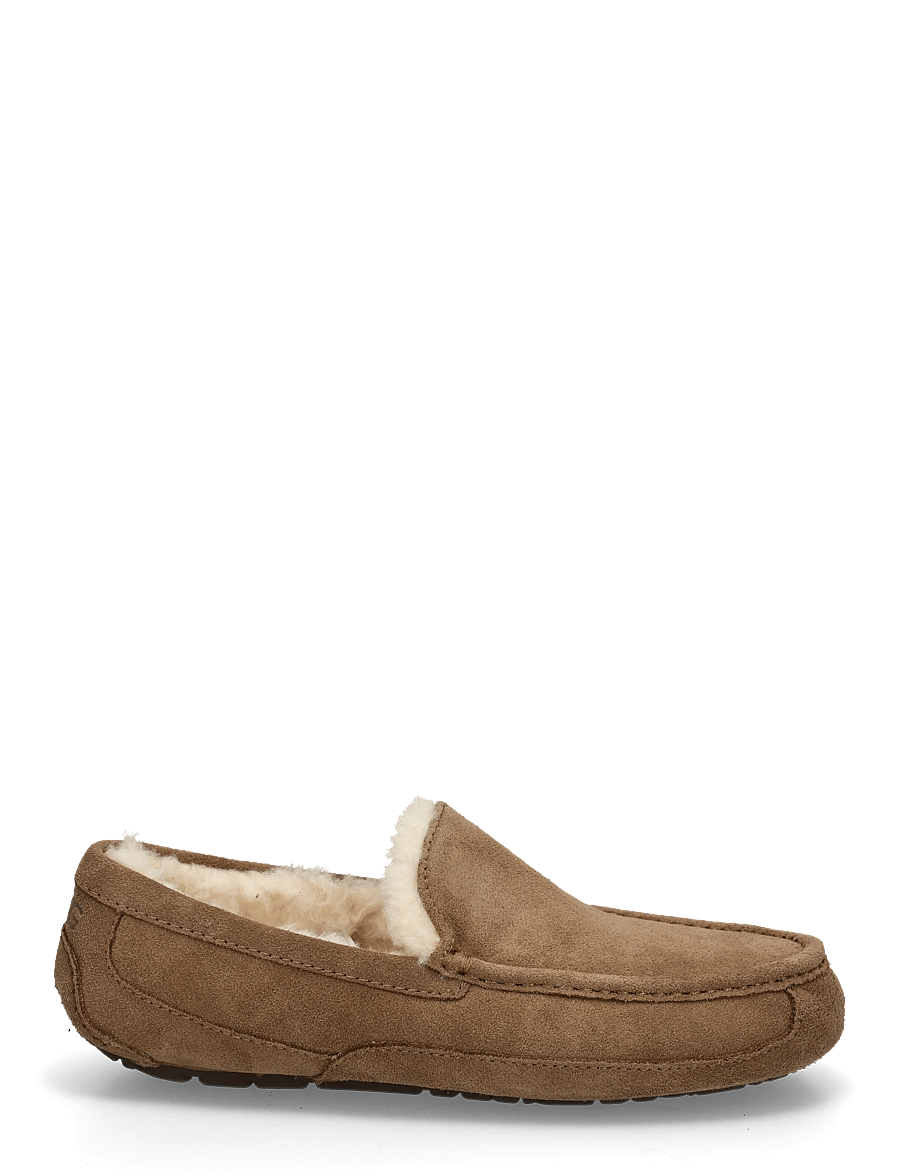 UGG - M Ascot - nach stil kaufen - light bronze - 2