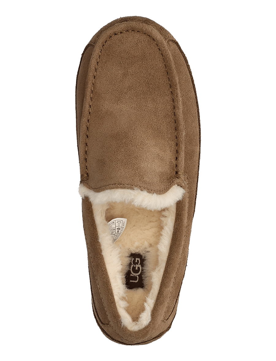 UGG - M Ascot - shop efter stil - light bronze - 3