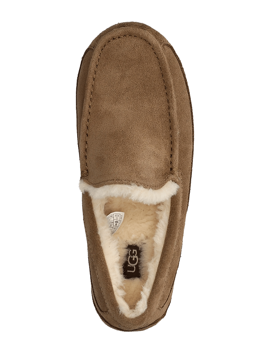 UGG - M Ascot - nach stil kaufen - light bronze - 3