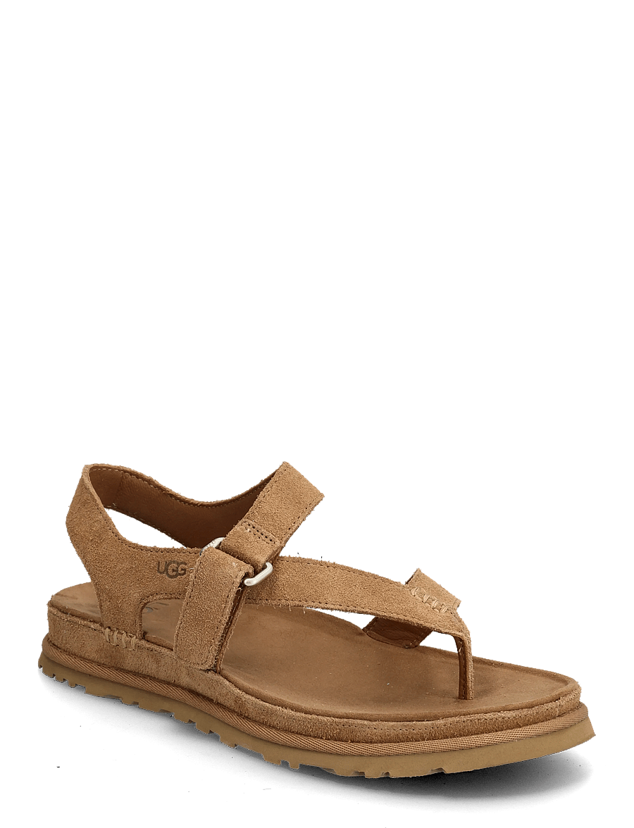 UGG - W GoldenGaze Toe Post - kontsata sandaalid - chestnut - 0