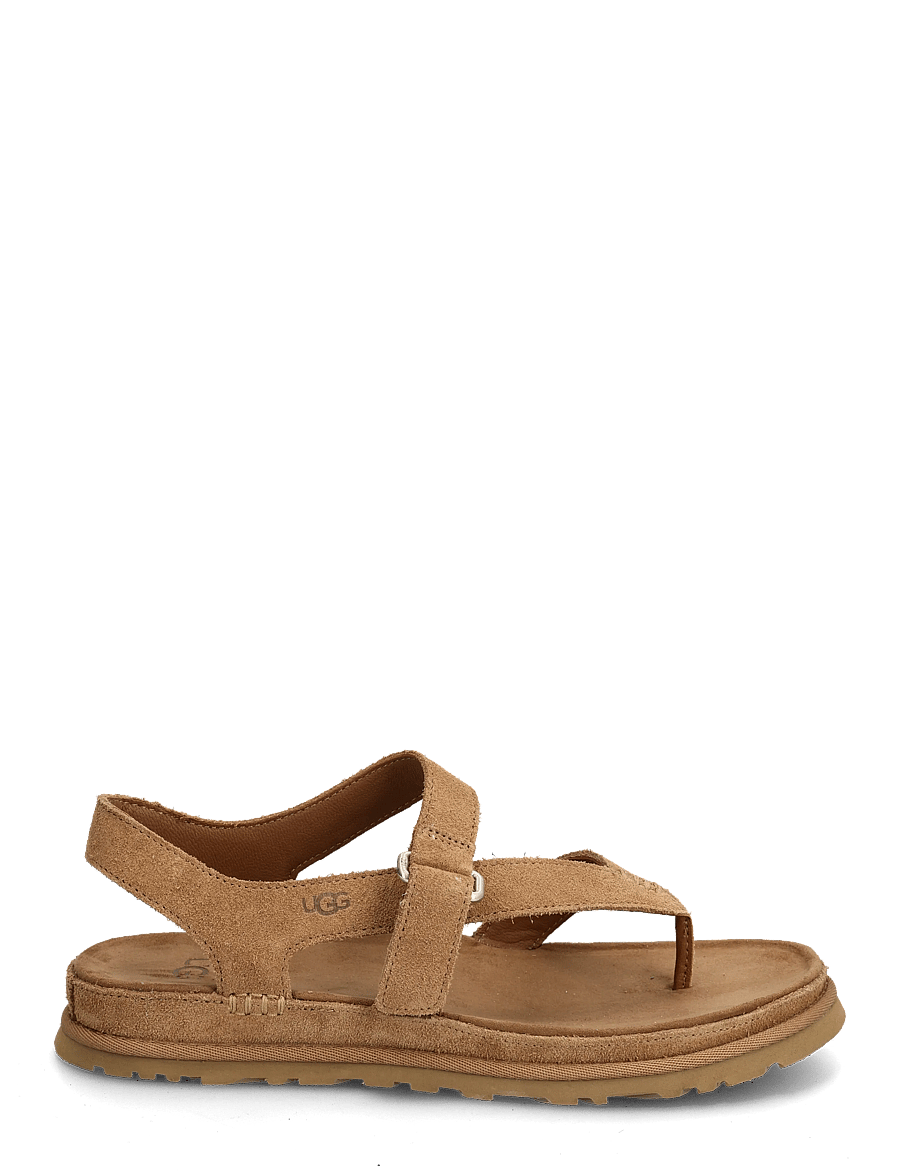 UGG - W GoldenGaze Toe Post - kontsata sandaalid - chestnut - 1
