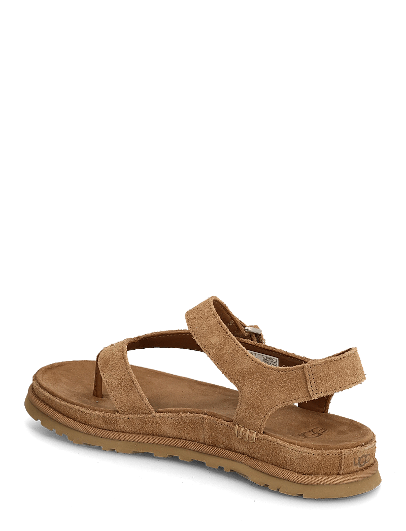 UGG - W GoldenGaze Toe Post - flade sandaler - chestnut - 2