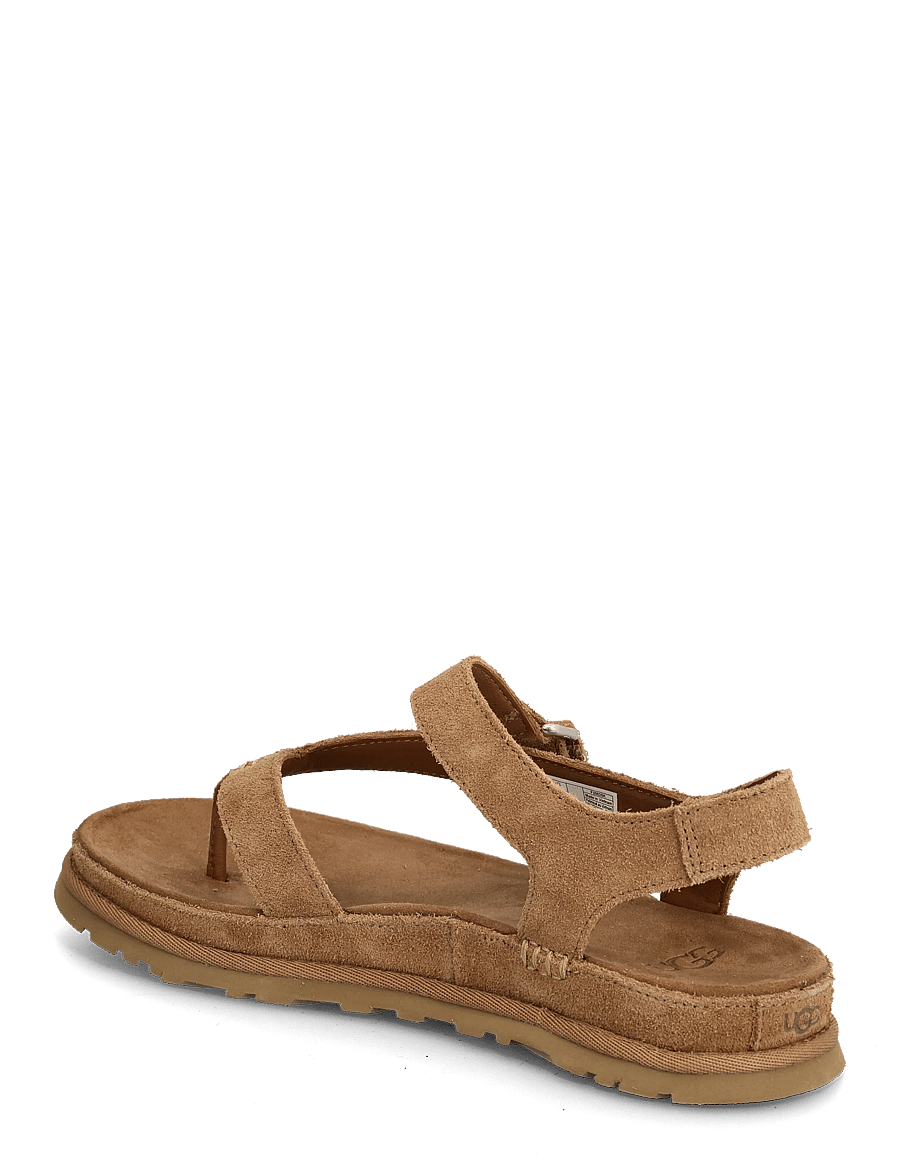 UGG - W GoldenGaze Toe Post - kontsata sandaalid - chestnut - 2