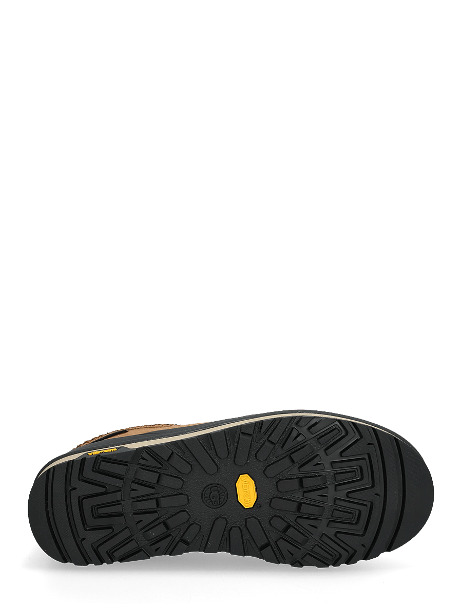 UGG - M Tasman Guard GTX - winter boots - chestnut - 4