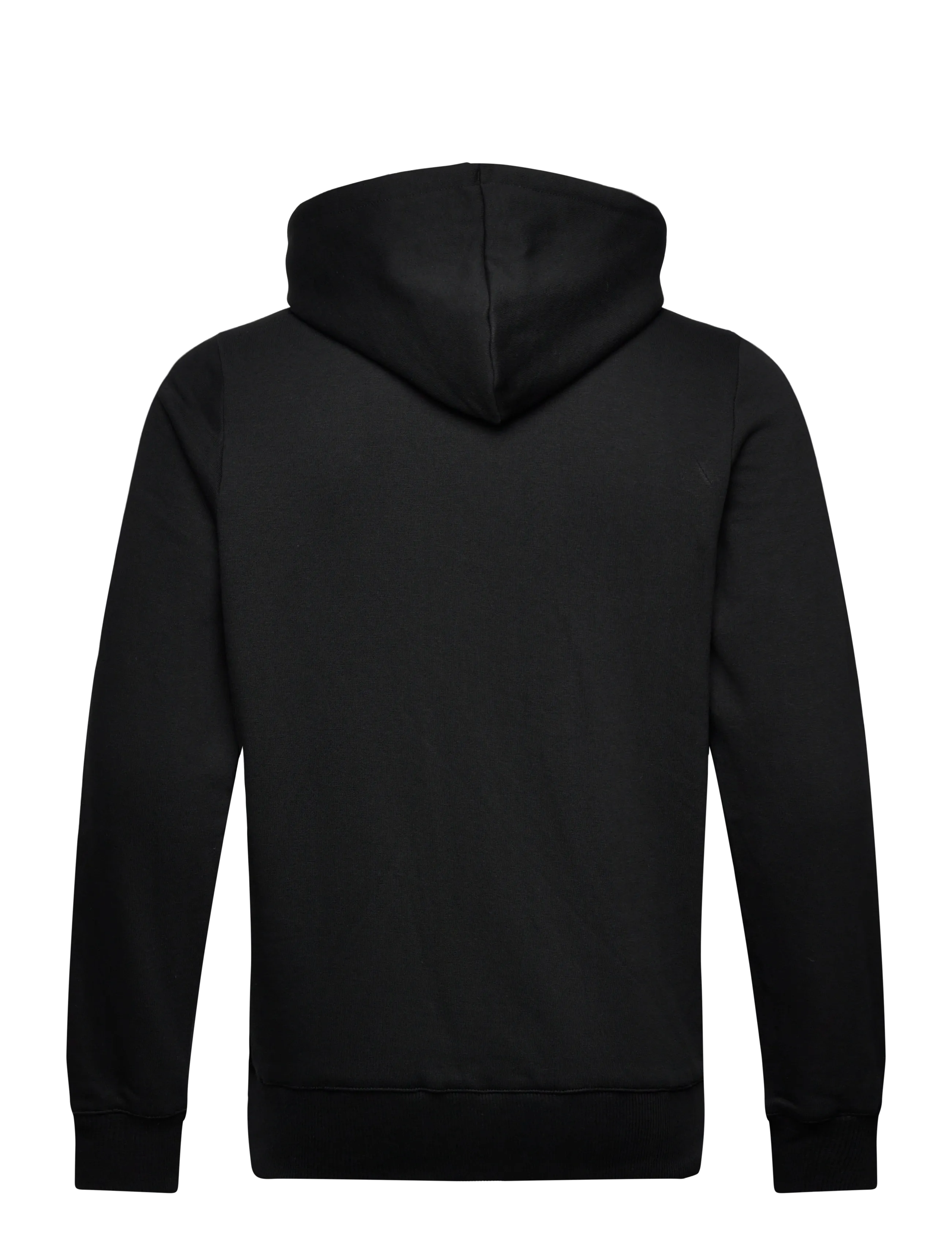 Large Logo Hoodie 2