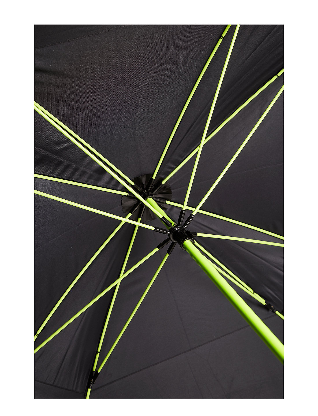 Ua umbrella 2024