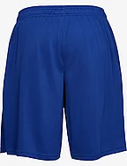UA Tech Mesh Shorts - ROYAL