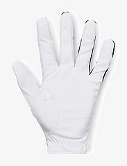 Under Armour - UA Medal Golf Glove (single) - laveste priser - black - 1