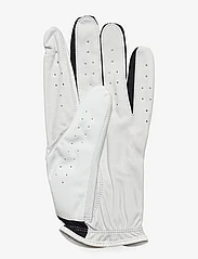 Under Armour - UA Iso-Chill Golf Glove - laveste priser - black - 1