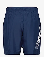 Under Armour - UA Woven Graphic Shorts - academy - 1