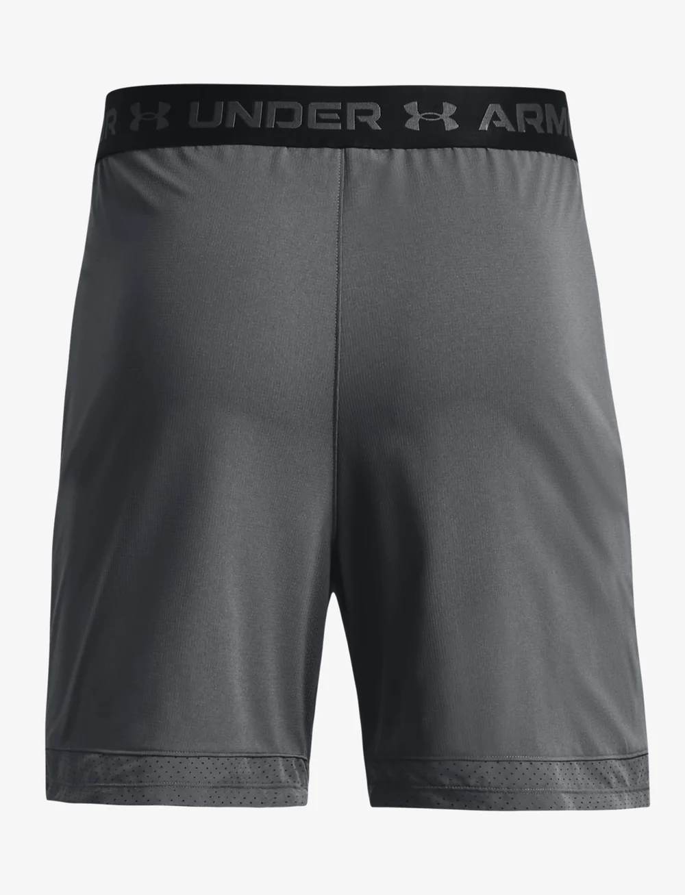 Ua vanish discount shorts
