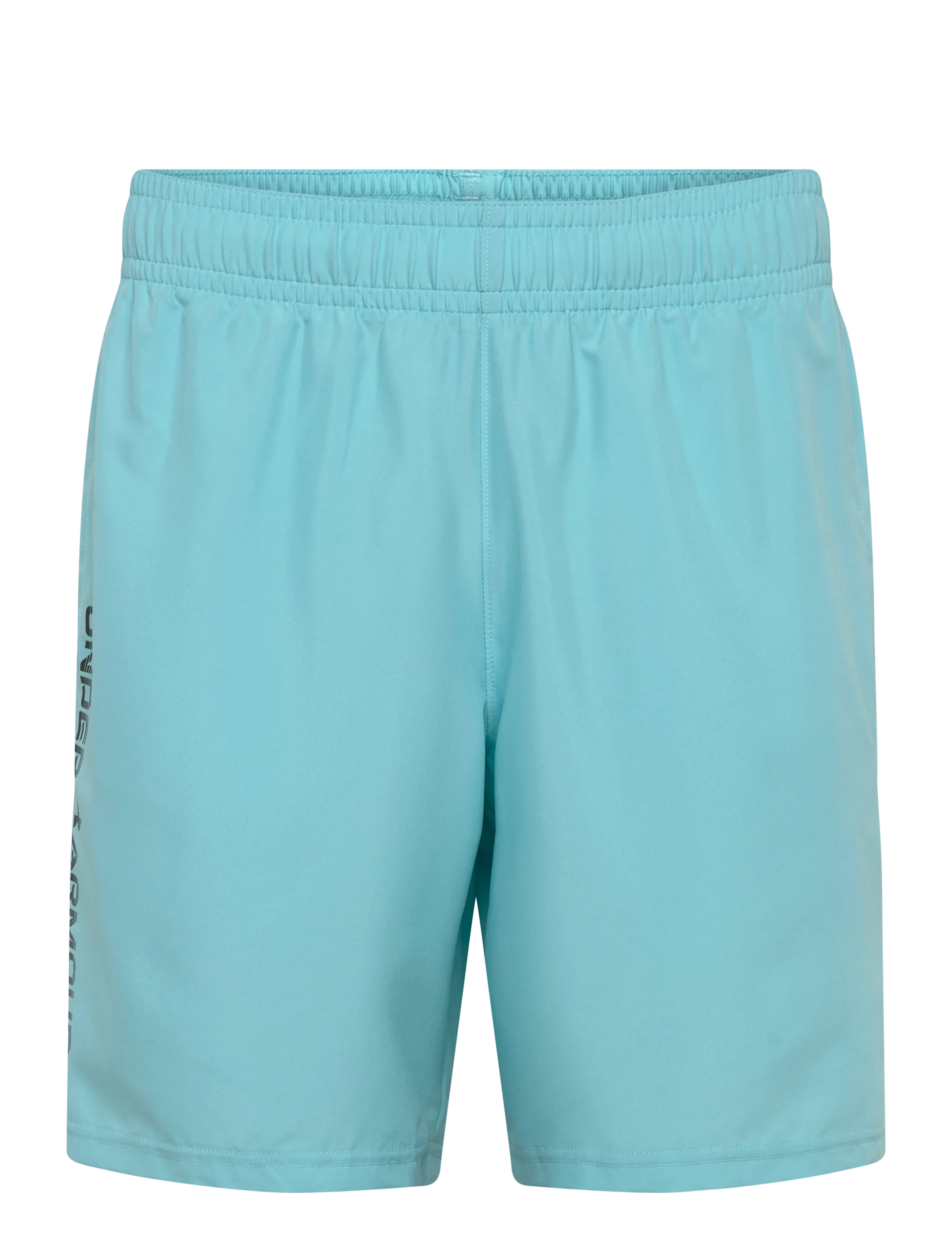 Under Armour UA Tech Woven Wordmark Short - Shorts - BLUE HAZE / blue