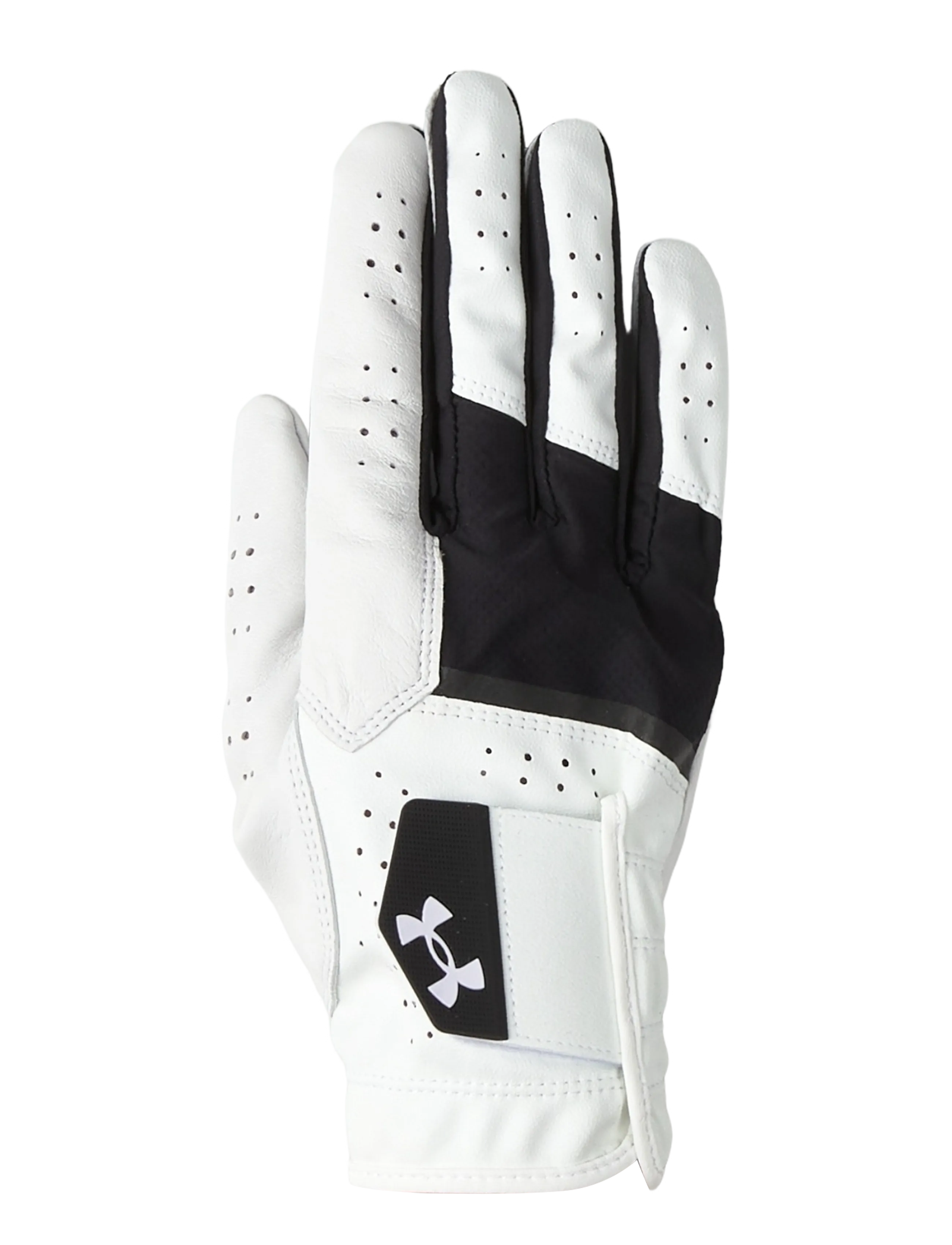 Under Armour Iso-Chill Pro Golf Glove - Golfivarustus - BLACK / white