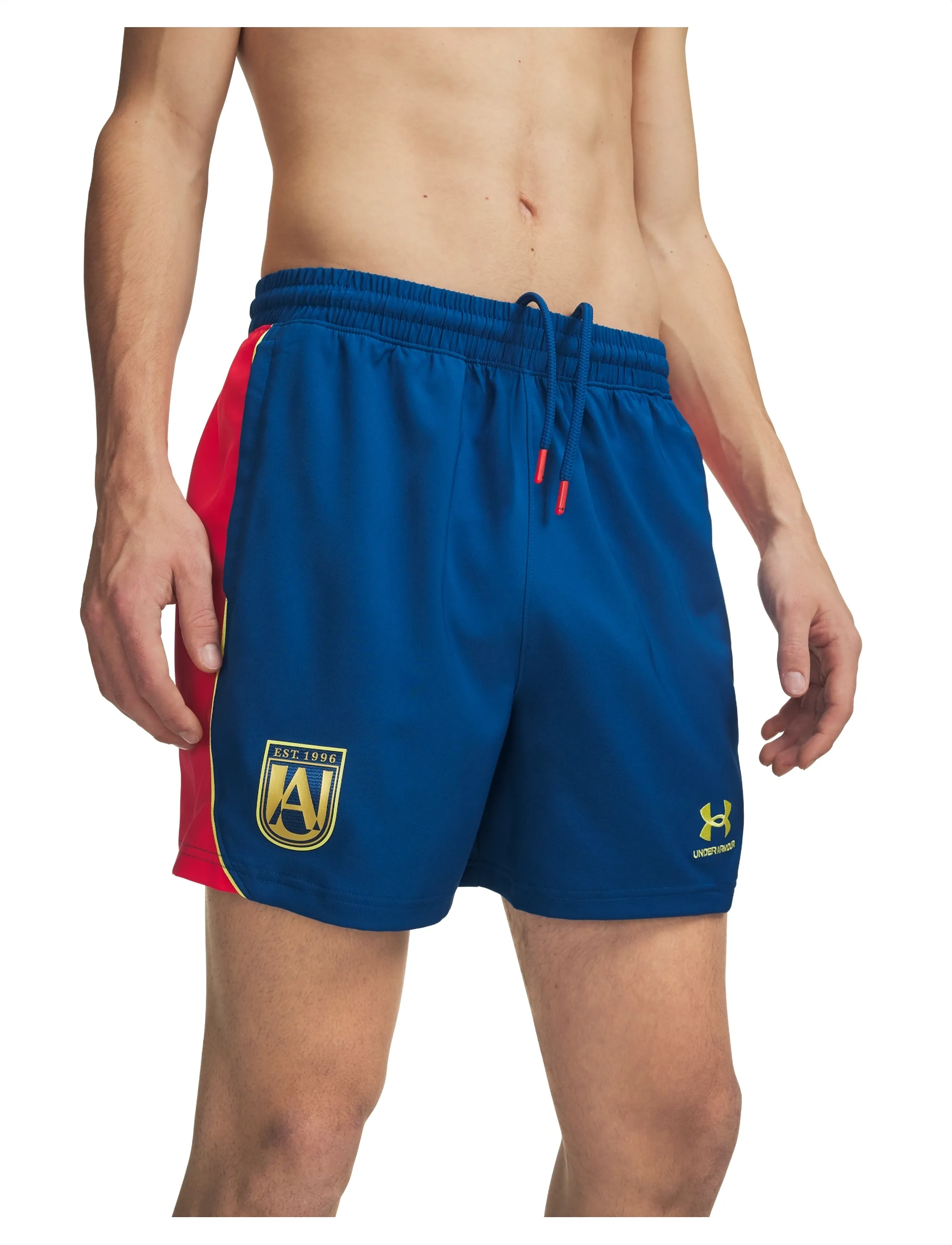 UNDER ARMOUR Ua 96 Terrace Country Short träningsshorts herr – bild 4