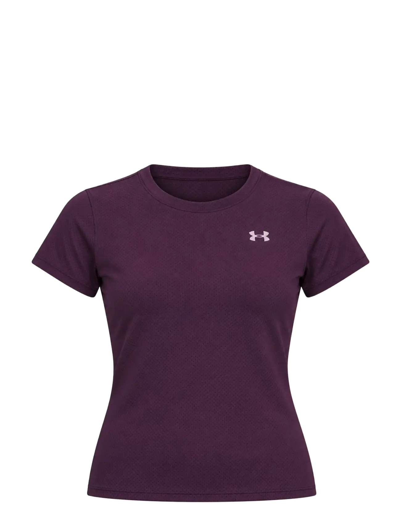 PURPLE ECHO