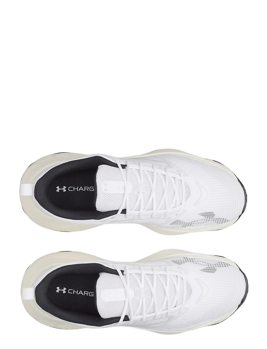Under Armour - UA Pulse - niedriger schnitt - halo gray - 3