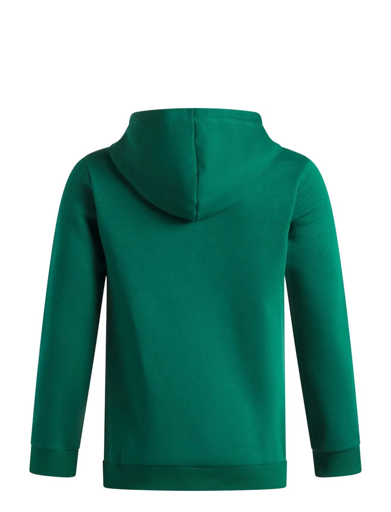 Under Armour - UA B RIVAL FLEECE HOODIE - kapuzenpullover - campus ivy - 1