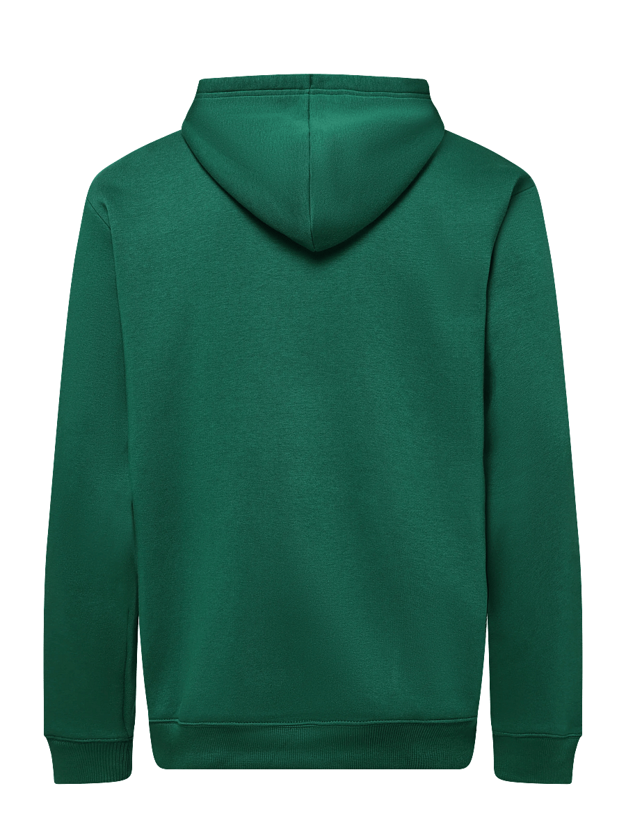 Under Armour - UA Rival Flc Hoodie - kapuutsiga dressipluusid - campus ivy - 2