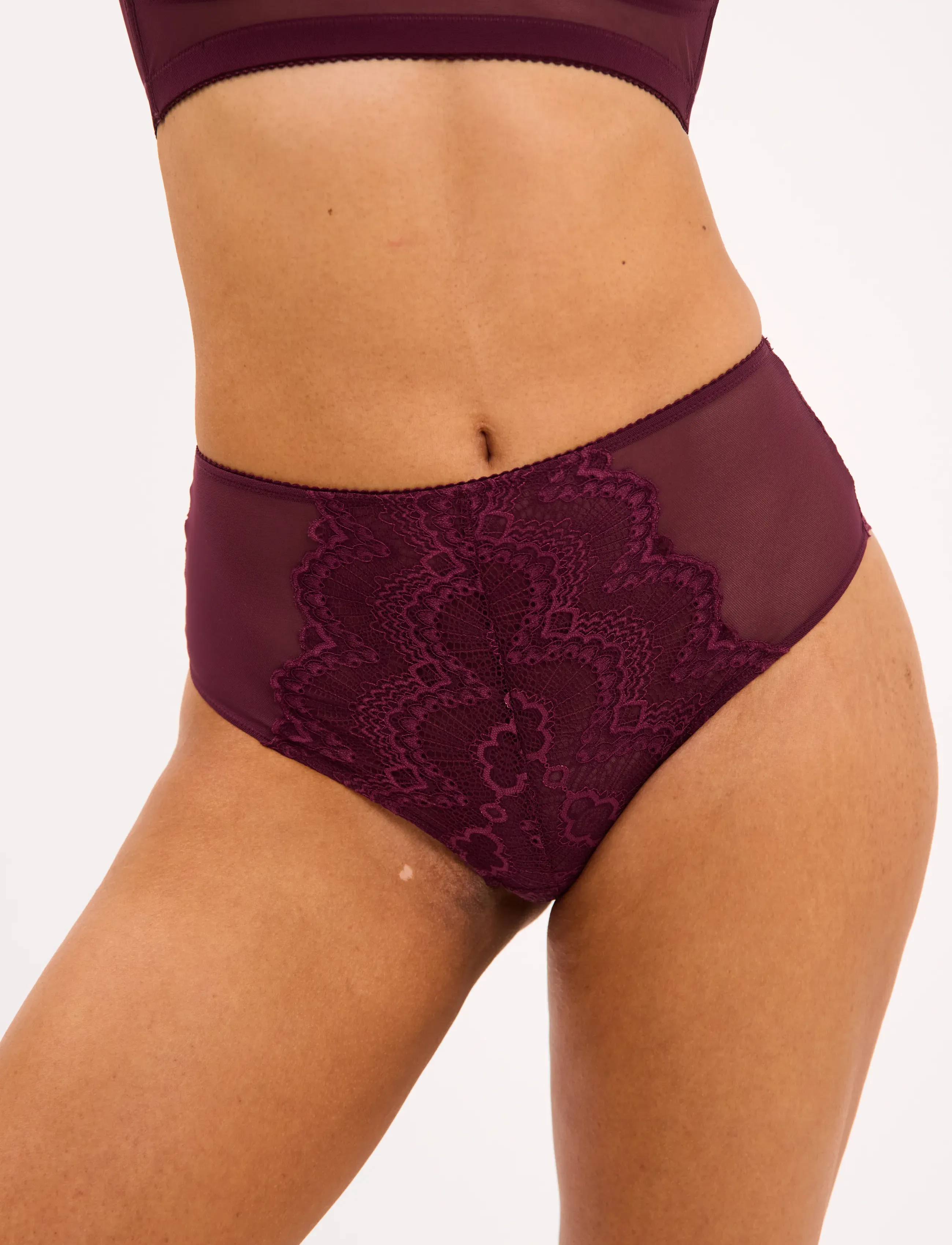 Lace Mesh Highwaist Briefs