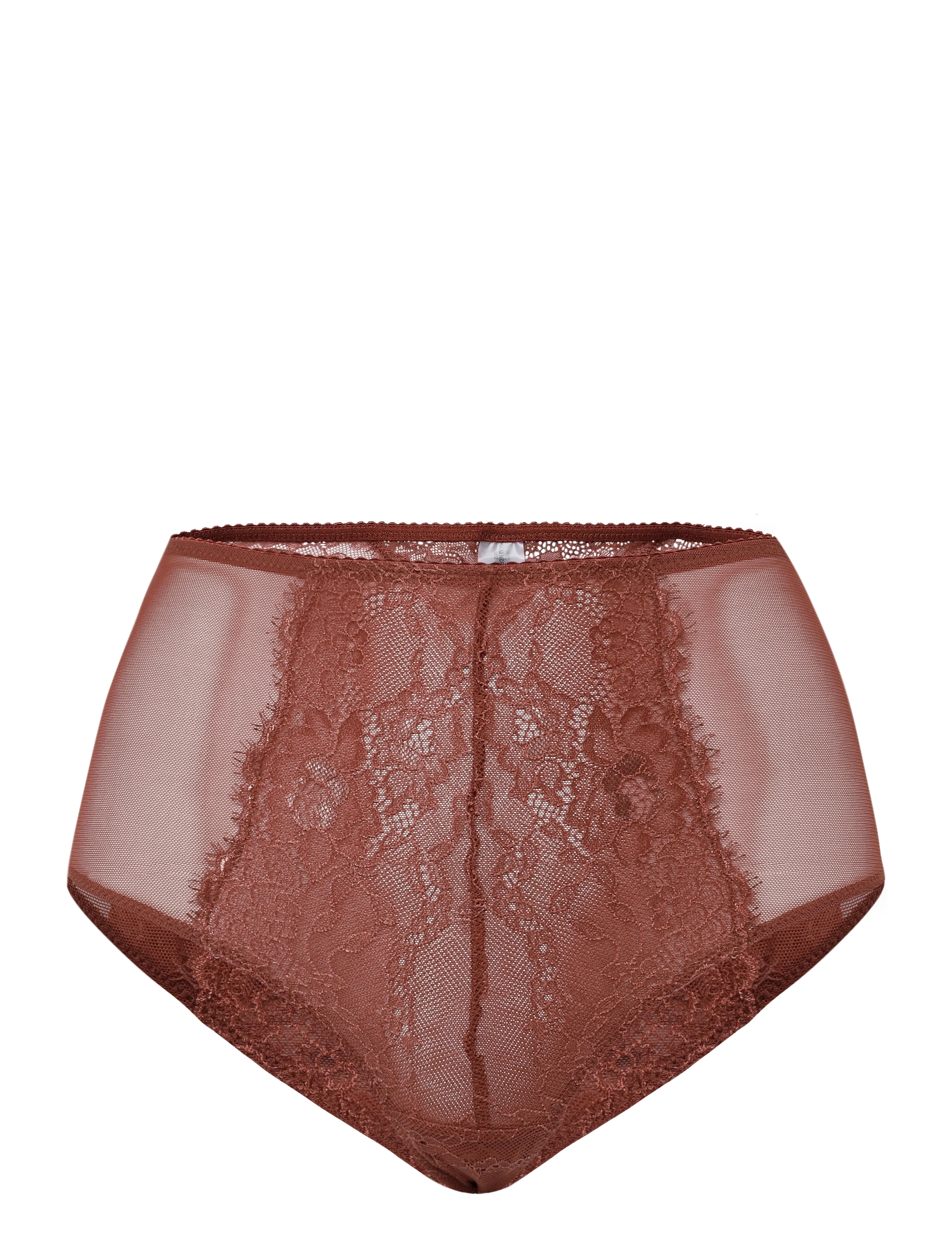 Understatement Underwear Lace Mesh Highwaist Briefs, Kvinder, Højtaljede Trusser, Brun, Str: M