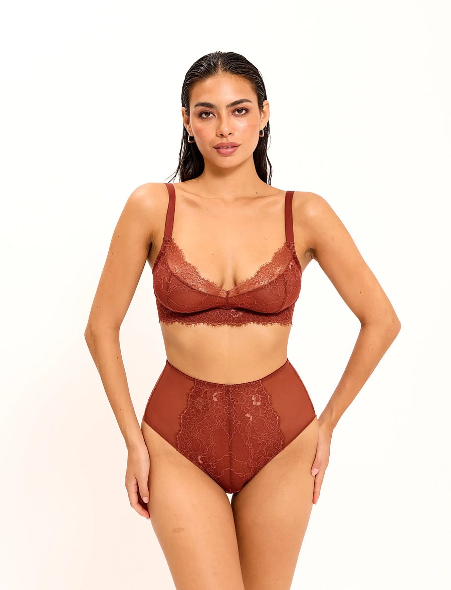 Understatement Underwear - Lace Mesh Highwaist Briefs - midit & maxit - rust - 0
