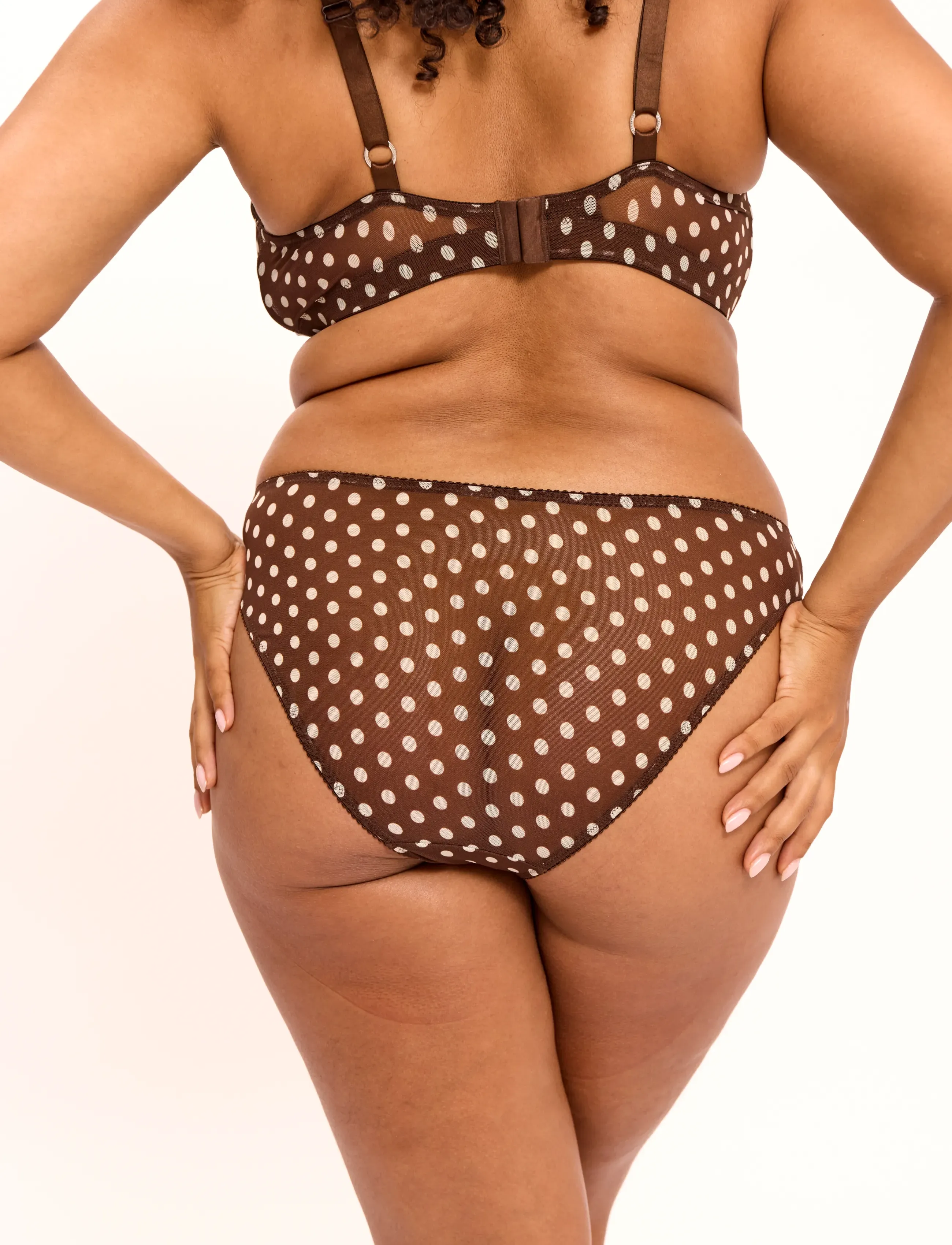 Understatement Underwear - Mesh Bikini Briefs - briefs - brown dot - 5