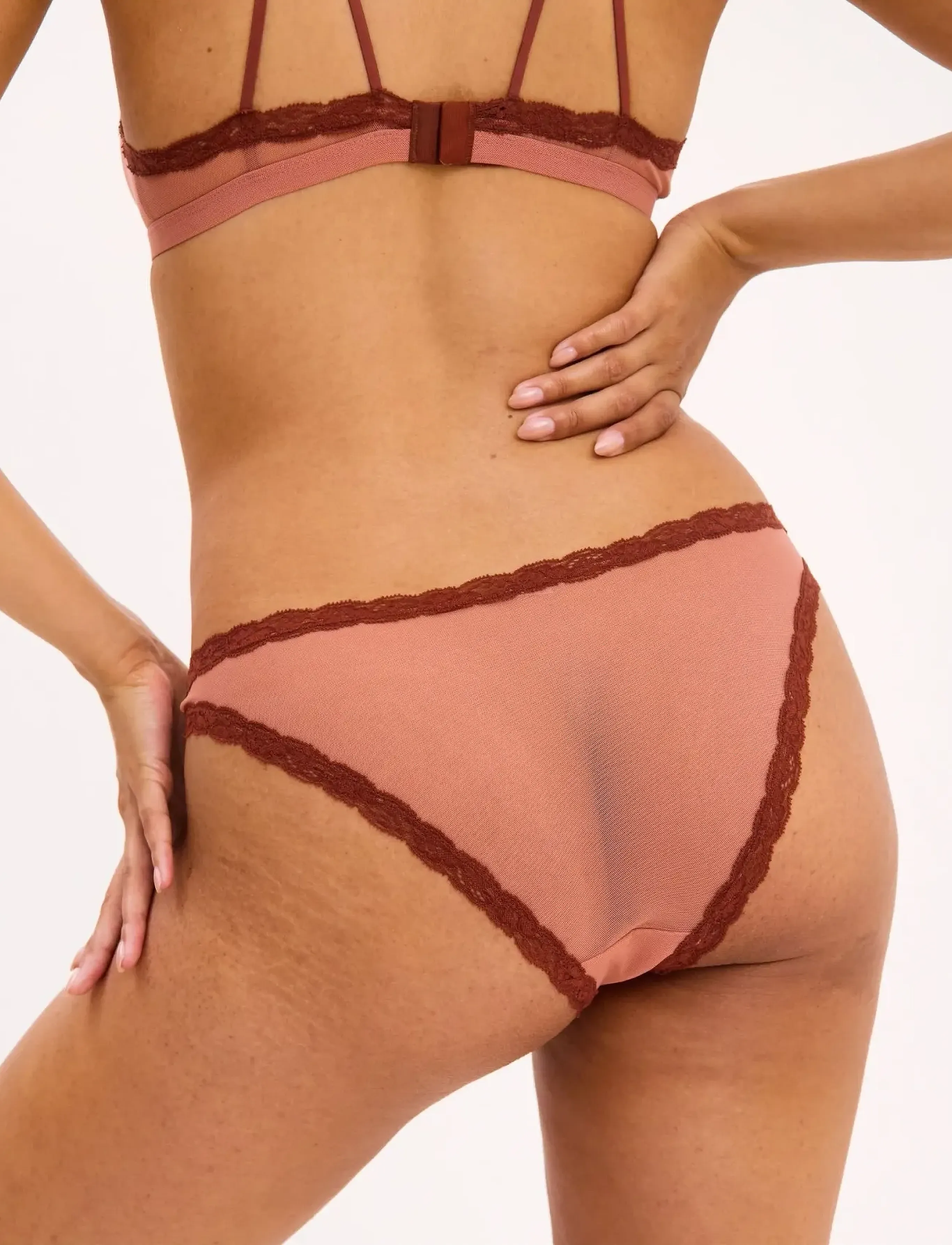 Understatement Underwear - Mesh Lace Trim Bikini Briefs - briefs - blush - 5