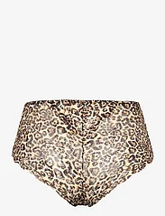 Understatement Underwear - Lace Highwaist Briefs 001 - alhaisimmat hinnat - gold leopard - 1