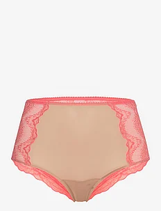 Lace Mesh Highwaist Briefs, Understatement Underwear