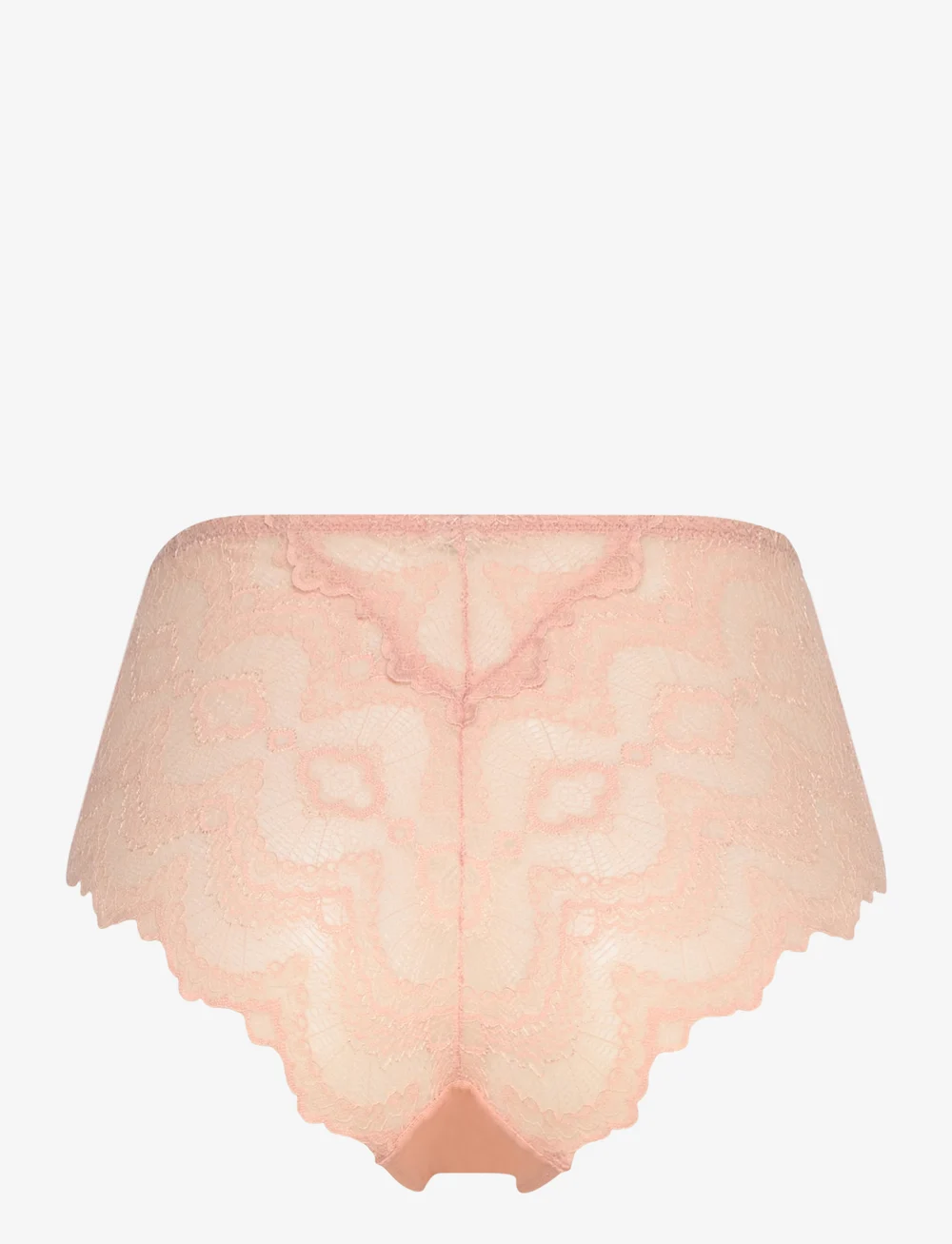 Understatement Underwear - Lace Mesh Highwaist Briefs - midi & maxi trusser - nude - 1