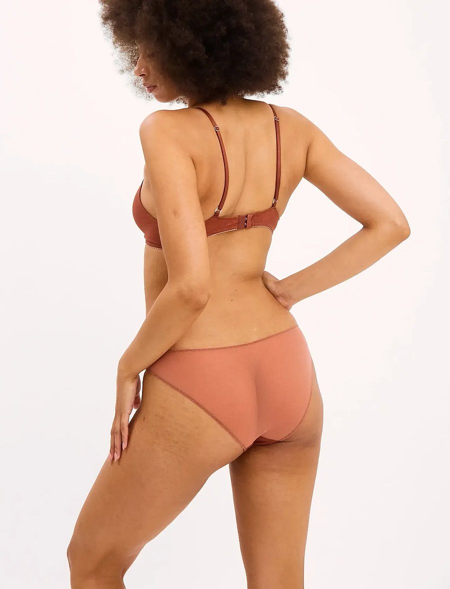 Understatement Underwear - Mesh Tanga Briefs - briefs - rust - 2