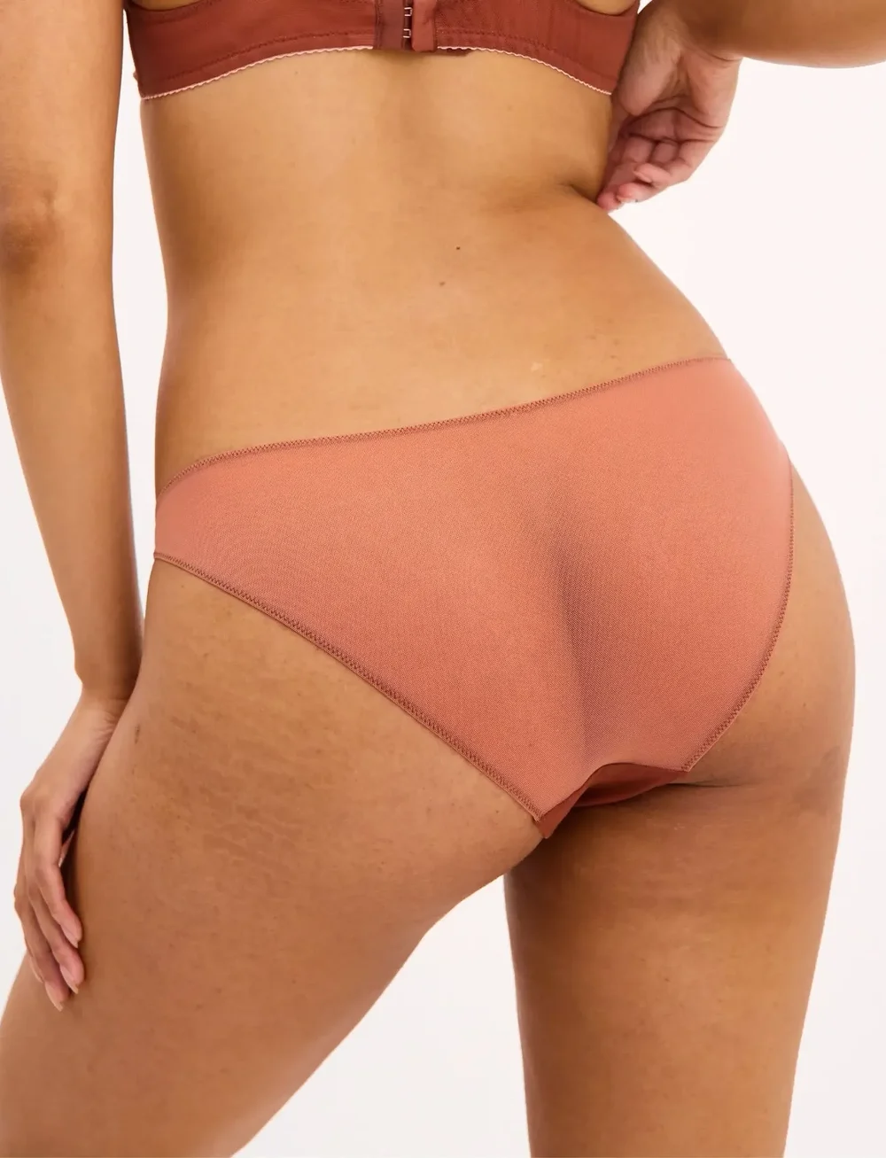 Understatement Underwear - Mesh Tanga Briefs - briefs - rust - 5