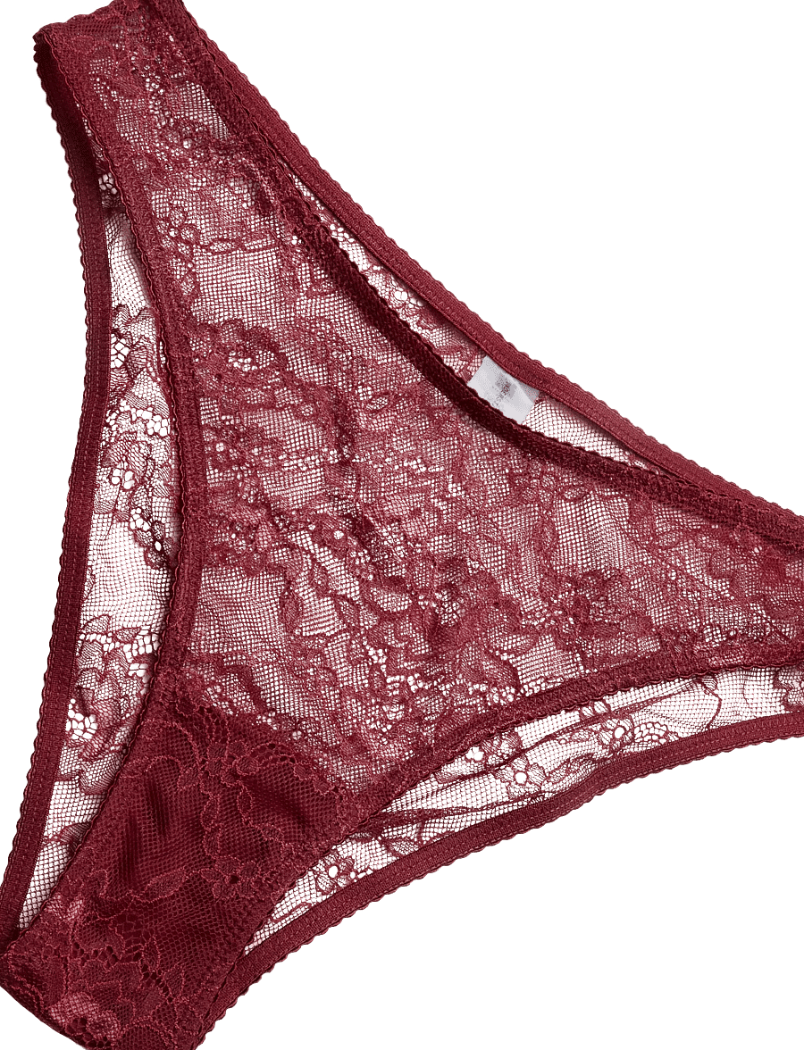 Understatement Underwear - Lace Midi Briefs - briefs - rumba red - 2