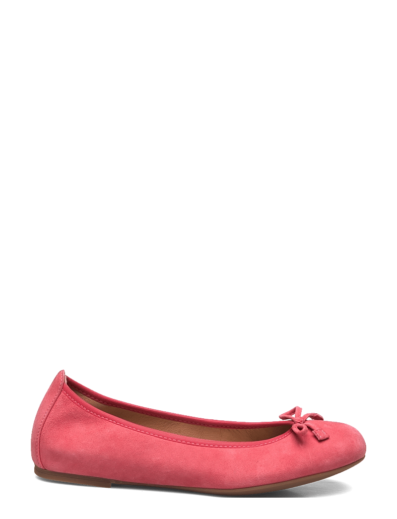 UNISA - ACOR25KS - erityistilaisuudet - sandia - 1