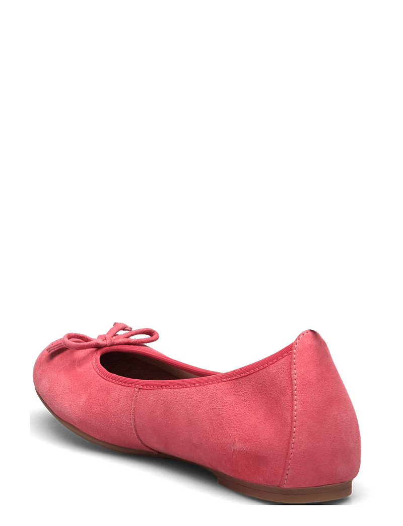 UNISA - ACOR25KS - erityistilaisuudet - sandia - 2