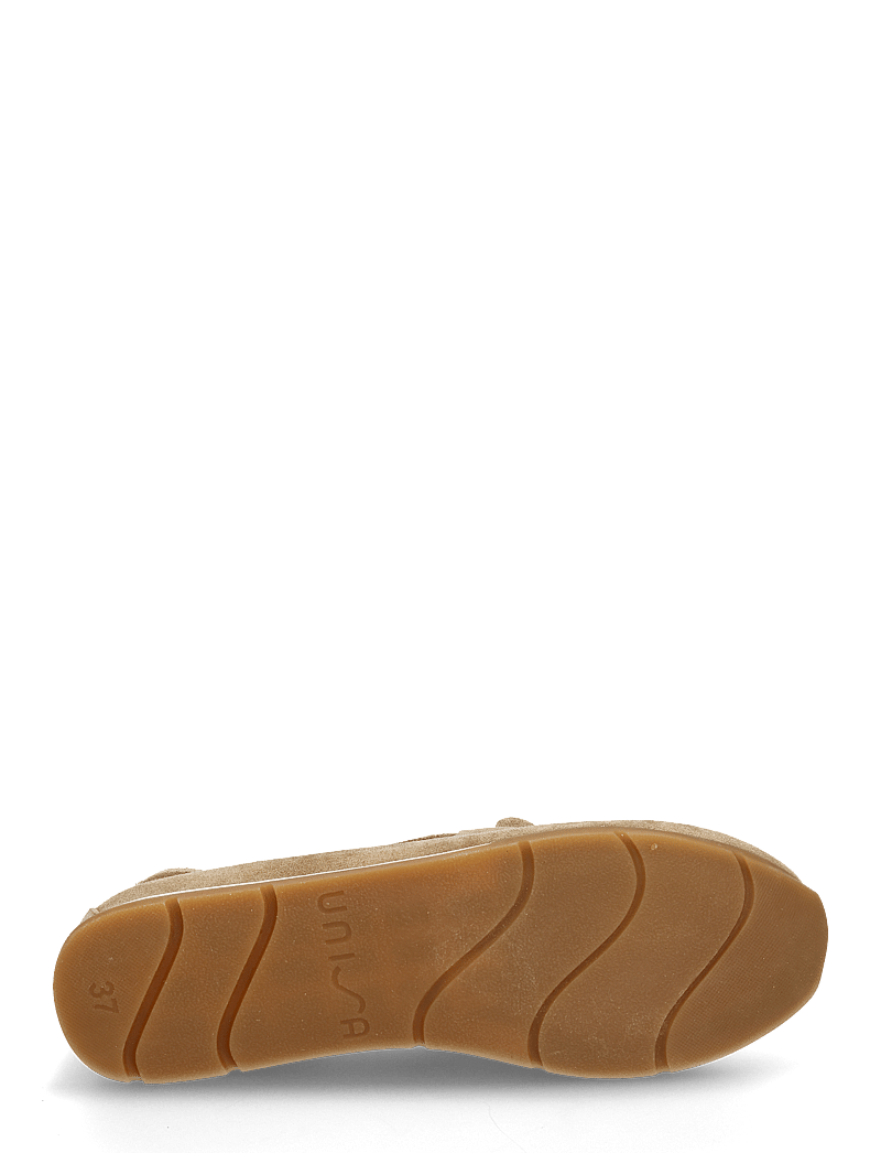 UNISA - DIMASBS - barley - 4